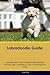 Labradoodle Guide Labradood...