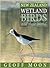 New Zealand Wetland Birds and Their World by Geoff Moon