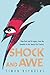 Shock and Awe: Glam Rock and Its Legacy, from the Seventies to the Twenty-first Century