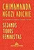 Sejamos Todos Feministas by Chimamanda Ngozi Adichie