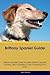 Brittany Spaniel Guide Brit...