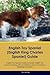 English Toy Spaniel (Englis...