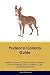 Podenco Canario Guide Poden...