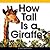 How Tall Is a Giraffe?