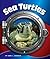 Sea Turtles