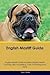 English Mastiff Guide Engli...