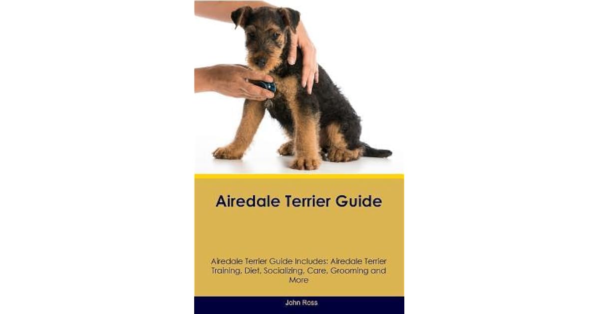 airedale grooming guide