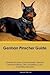 German Pinscher Guide Germa...