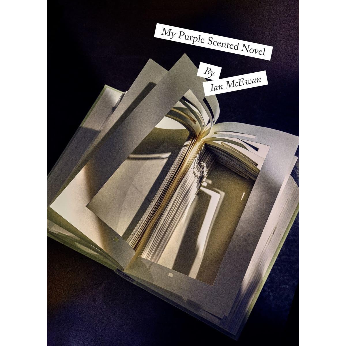 My Purple Scented Novel by Ian McEwan — Reviews, Discussion,