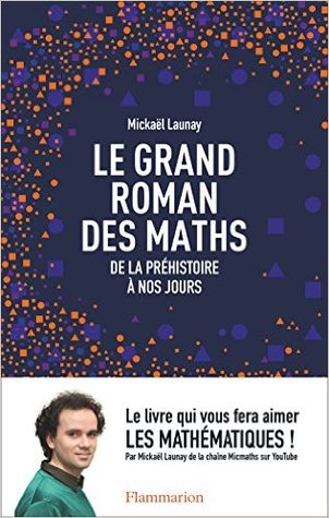 Le grand roman des maths : de la préhistoire à nos jours (Paperback)