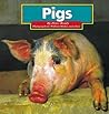 Pigs (Farm Animals)