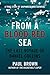 From A Blood-Red Sea: The Last Voyage of Daniel Collins