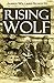 Rising Wolf, the White Blackfoot: Hugh Monroe's Story of His First Year on the Plains