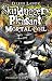Mortal Coil (Skulduggery Pleasant, #5)