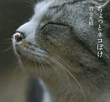 ちょっとネコぼけ ちょっとネコぼけ