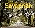 Savannah Then and Now – People and Places: A photographic guide to the hidden history and architecture of Savannah