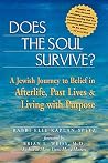 Does the Soul Sur...