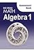 Big Ideas Math Algebra 1: Assessment Book