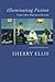Illuminating Fiction: A Collection of Author Interviews with Today's Best Writers of Fiction