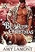 Bear for Christmas