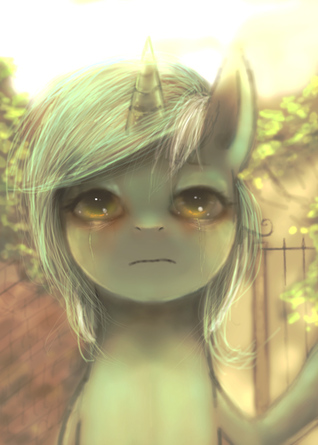Equidae