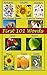 First 101 Words: Let’s Get Laughing and Learning: Beginner Readers: Kids Early Reading Edition with 1st Grade Site Words & Pictures. Toddlers Animal Adventure Bedtime Read Along -Free Resources