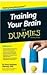 Training Your Brain for Dummie