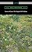 Leaves of Grass by Walt Whitman