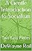 A Gentle Introduction to Socialism: Two Easy Pieces