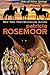 A Rancher's Vow (Sons of Silver Springs Book 3) by Patricia Rosemoor