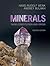 Minerals: Their Constitution and Origin