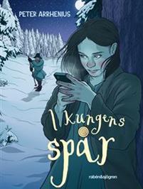 I kungens spår (Fanny Falk #1)