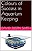 Aquarium Keeping:The Aquarium Keeping Big Book(Complete guide to aquarium keeping, advanced aquarium keeping, aquarium fish keeping, aquarium fish keeping courses, aquarium keeping for beginners)
