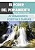 El Poder Del Pensamiento: Afirmaciones Positivas Diarias (Spanish Edition)