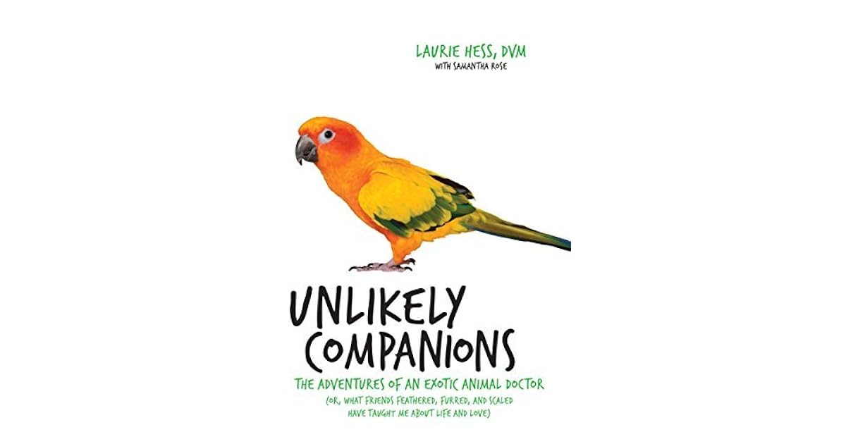 animal doctor near by me