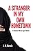 A Stranger In My Own Hometown: A Brendan O'Brian Legal Thriller (Brendan O'Brian Legal Thrillers Book 2)