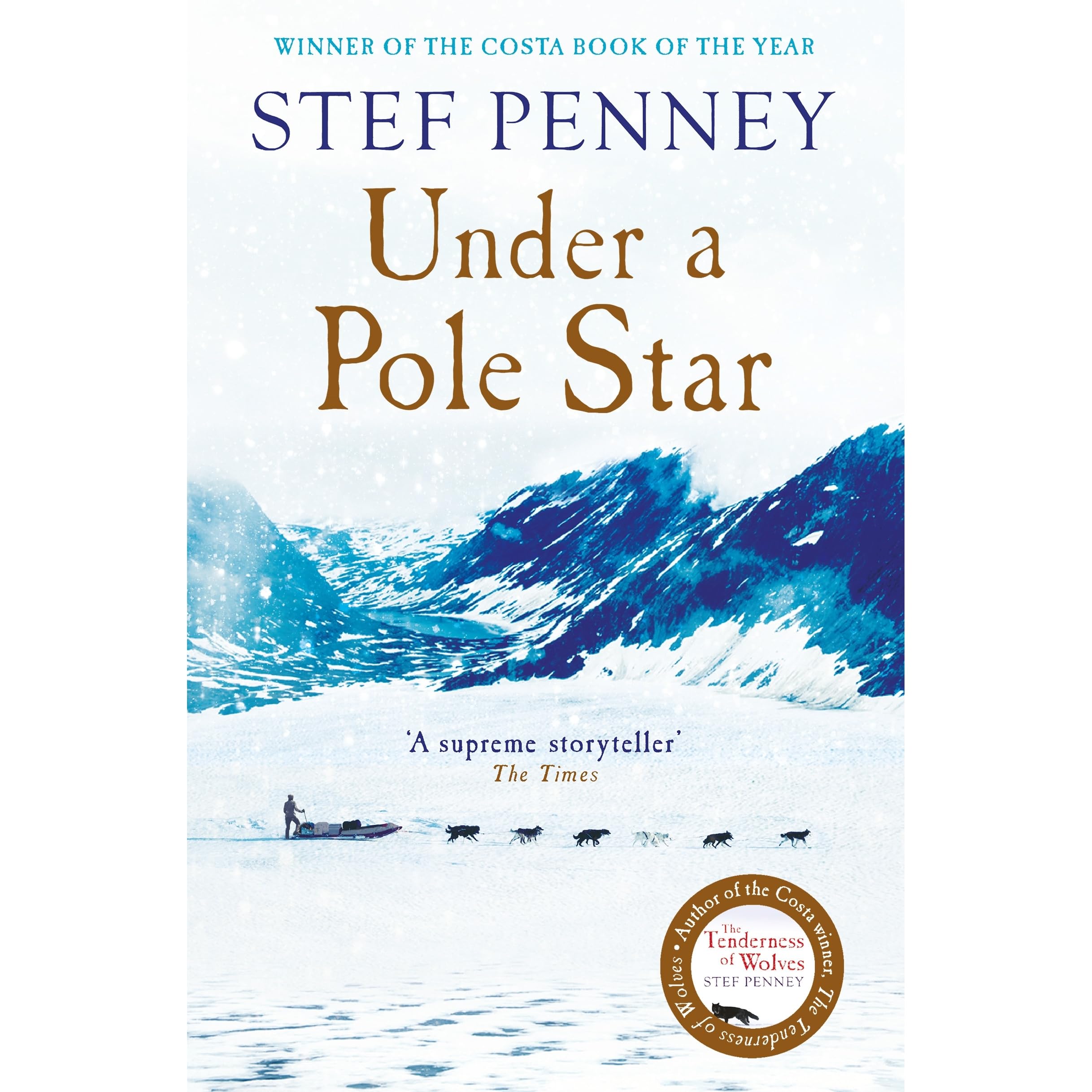 Under a Pole Star by Stef Penney