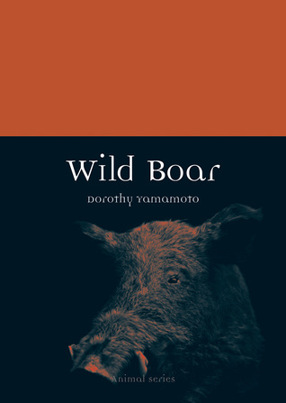 Wild Boar (Animal)