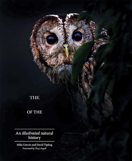 The Enigma of the Owl: An Illustrated Natural History