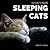 Too Cute To Handle. Sleeping Cats: A Heart-warming Photo Book for Cat Lovers, with Beautiful Quotes & Adorable Pictures of Feline Friends, Cats and ... Postures! (Animal Coffee Table Book Gift)