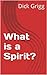 What is a Spirit?