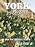 York 25 Secrets - The Locals Travel Guide For Your Trip to York (England) 2016: Skip the tourist traps and explore like a local : Where to Go, Eat & Party in York - England
