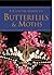 A Concise Guide to Butterflies (Pocket Guides)