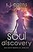 Soul Discovery by S.J. Cairns Soul Discovery by S.J. Cairns