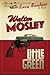 Little Green (Easy Rawlins #12)