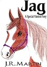 Jag: A Special Painted Pony