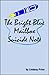 The Bright Blue Mailbox Suicide Note by Lindsay Price