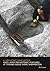 A Neolithic Ringditch and L...