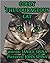 Colby the Courageous Cat