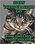 Colby the Courageous Cat